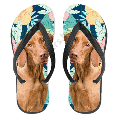 Vizsla slippers best sale